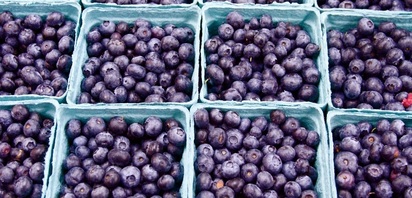 blue berries in tray