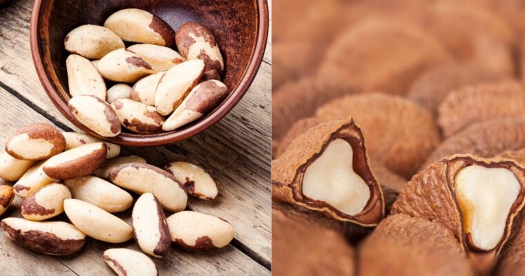 Brazil Nuts