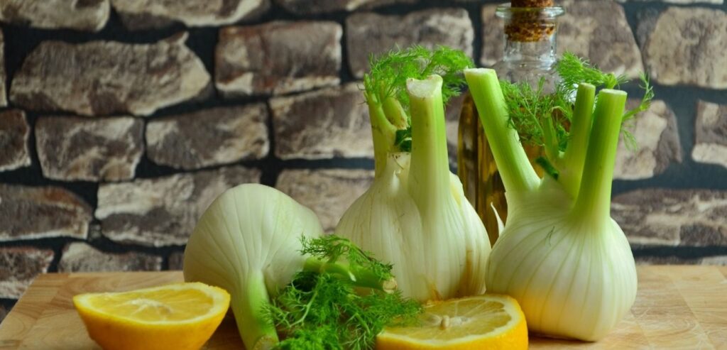 florence-fennel