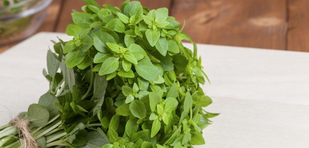 greek-basil-cuts