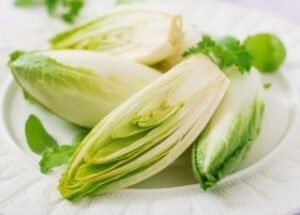 belgian-endive-witloof-chicory