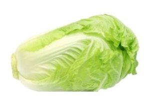 chinese-cabbage