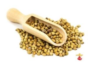 coriander-seeds