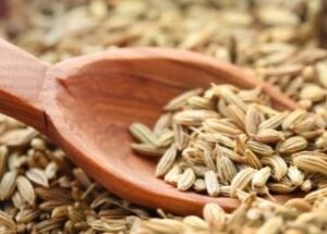 fennel-seed