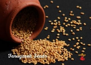 fenugreek-seeds