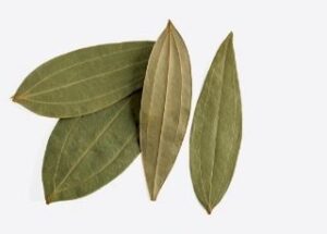 indian-bay-leaves-tejpatta