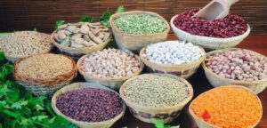 Legumes And Lentils Names in English Hindi Malayalam with pictures
