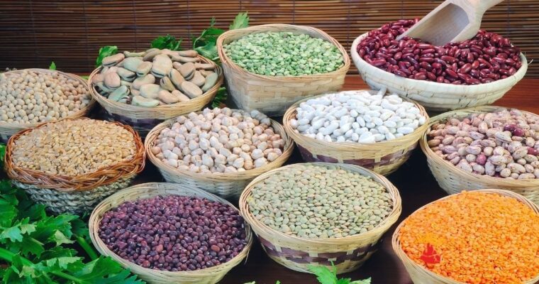 Legumes And Lentils Names in English Hindi Malayalam with pictures