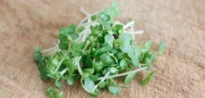 watercress-nasturtium-officinale