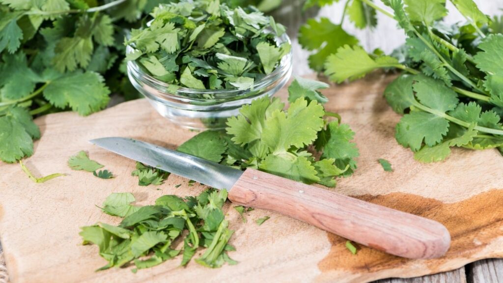 chopped-cilantro