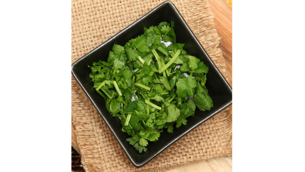 how-to-store-cilantro