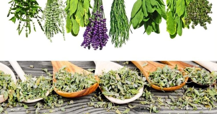 Converting Fresh Herbs To Dried Herbs