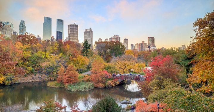 Central park new york