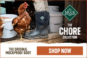 muck boot chore collection