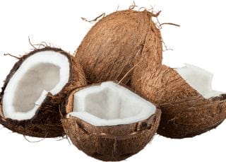 coconut