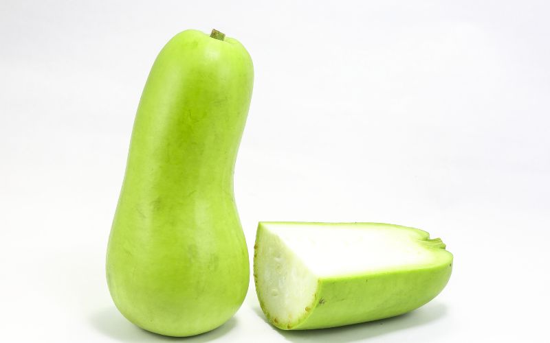 bottle gourd